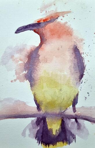 A loose watercolour painting of a bird in multiple colours sitting on a branch.
