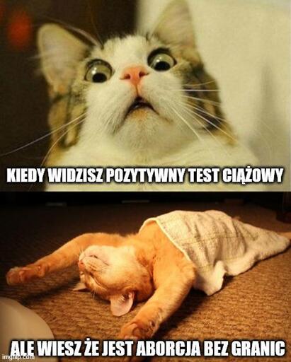 przestraszony kotek z podpisem
KIEDY WIDZISZ POZYTYWNY TEST CIĄŻOWY

chillujący kotek
ALE WIESZ ŻE JEST ABORCJA BEZ GRANIC
