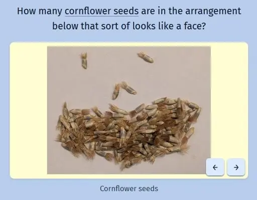 A screenshot of the daily game "Estimate Me" with a picture of a bunch of cornflower seeds in an arrangement that resembles a face.