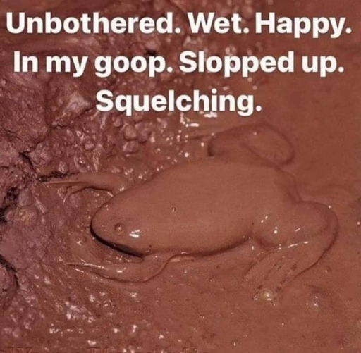 Unbothered. Wet. Happy. In my goop. Slopped up. Squelching. <image of a frog in mud covered in mud>