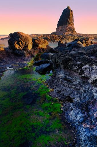 Pulpit Rock at Cape Schanck during sunset makes for a breathtaking landscape photo. Here's how it typically appears:

The towering basalt rock formation, Pulpit Rock, juts dramatically out of the swirling Southern Ocean, dark and rugged against the soft light of the setting sun. The sky is painted in hues of orange, pink, and lavender, casting a golden glow over the wet rocks and foaming waves below. The tide surges around the base of the rock, creating a misty, ethereal effect as the long-exposure shot blurs the motion of the water.

In the foreground, the jagged volcanic rocks of the shoreline are speckled with tide pools, reflecting slivers of the sky’s fiery colors. Coastal vegetation — wind-sculpted grasses and low shrubs — frames the edges of the shot. The scene feels raw and dramatic, yet peaceful, capturing the wild beauty of Victoria's Mornington Peninsula.