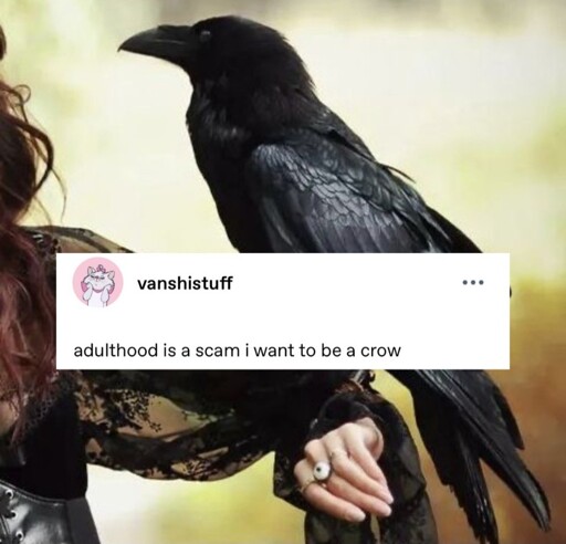 Adulthood is a scam I want to be a crow 