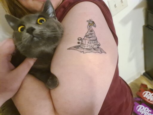 An arm with a tattoo of Granny Weatherwax's with hat from the Discworld novels with a sign reading "I Aten't Dead" pinned to it and a bee resting on the hat tip. A Russian blue cat with yellow eyes is also in the photo, being held by the arm in a hug.