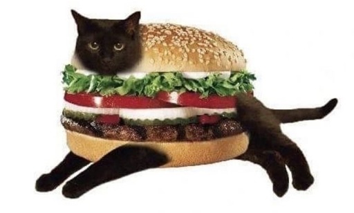 Picture of burger with a black cat's head, limbs, and tail photoshopped onto it, using the burger as its body
