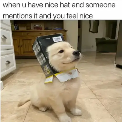 Do you have a nice hat?