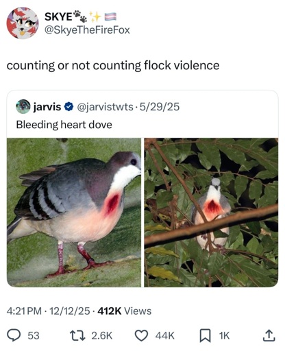 it's a bird with markings that make it look like it got its neck shot out like Charlie Kirk.