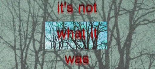 tangled branches against a grey sky, dim and grainy. in the center is the same image smaller and with a bright blue sky. red and black distorted text reads "it's not what it was"
