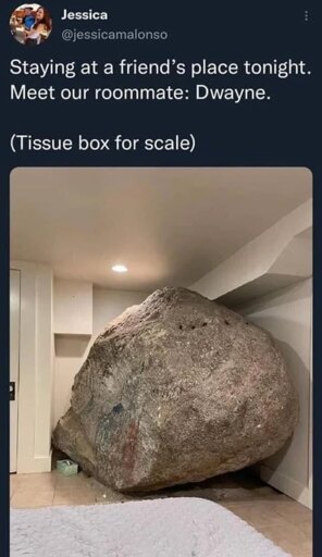 A social media post by Jessica @jessicamalonso, captioned "Staying at a friend's place tonight. Meet our roommate: Dwayne. (Tissue box for scale)". Dwayne is a large rock reaching up to the ceiling and two walls, with a tissue box next to it.