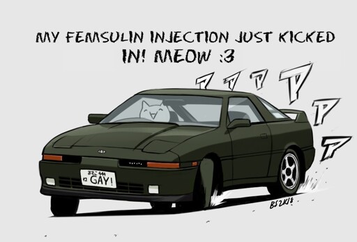 Text reads: "My femsulin injection just kicked in! Meow :3" below is a drawing of a cat driving a car with a front plate that reads "GAY!"