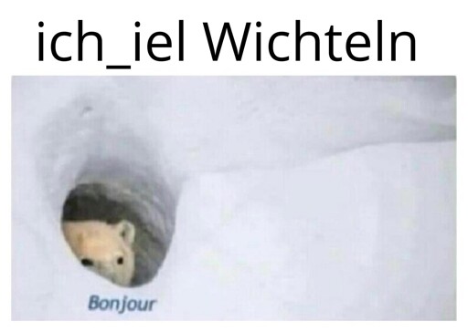 Es wird das ich_iel Wichtel fürs Jahr 2025 Angekündigt und erläutert