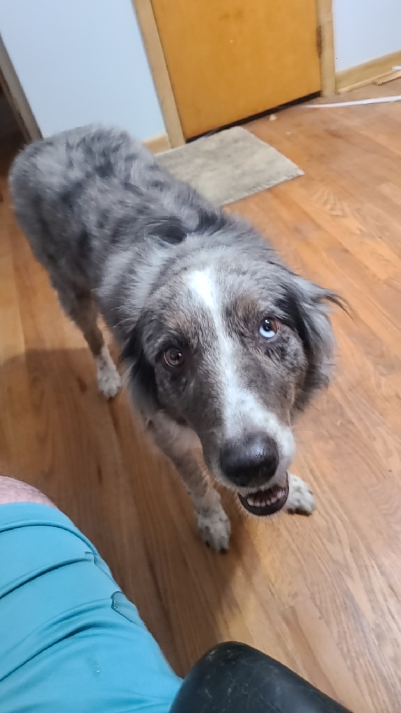 He&#39;s a good boy.