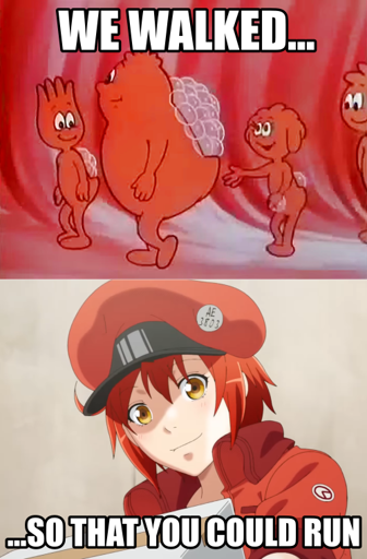 Two panel impact font meme: The first panel shows the red blood cells from "Once Upon a Time... Life" walking, and the second panel shows Red Blood Cell AE3803 from "Cells at Work" holding a box of oxygen. The text reads, "We walked so that you could run"