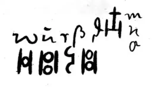 Estratto dal Libro dei Selvaggi contenente la parola "Wurszd".