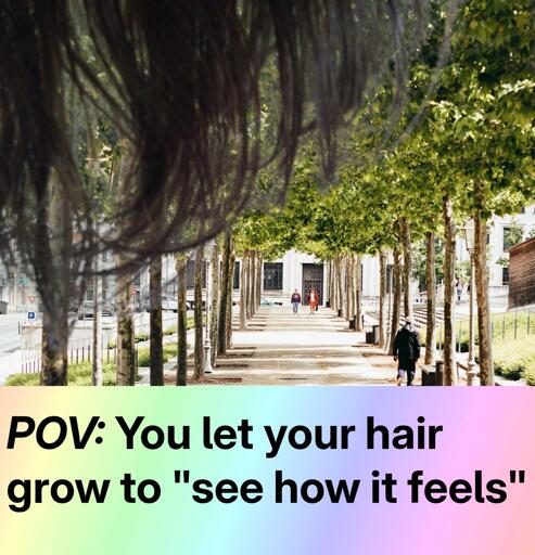 Long hair obstructs sidewalk scenery as seen from eye-level. The caption reads: POV: You let your hair grow to "see how it feels".