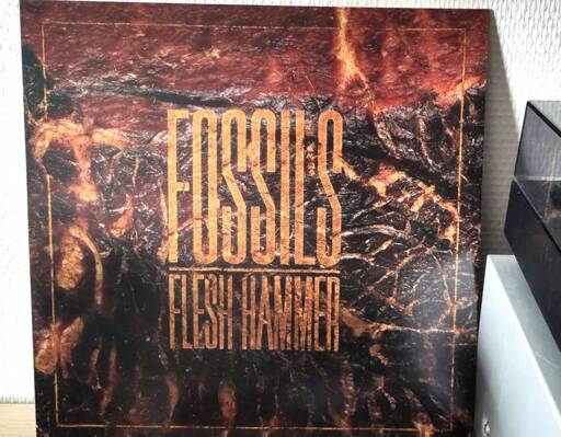 The album cover appears to be a close-up of seared or charred flesh. In the middle, the band name and album title is set in a yellow-orange, condensed display font