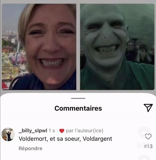 une photo de Marine Le Pen souriante de toutes ses dents. À côté une photo de Voldemort souriant de toutes ses dents : ressemblance frappante. commentaire de Billy_slpwl : Voldemort, et sa sœur Voldargent